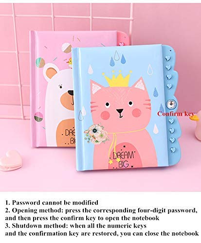 BIG PASSWORD DIARY