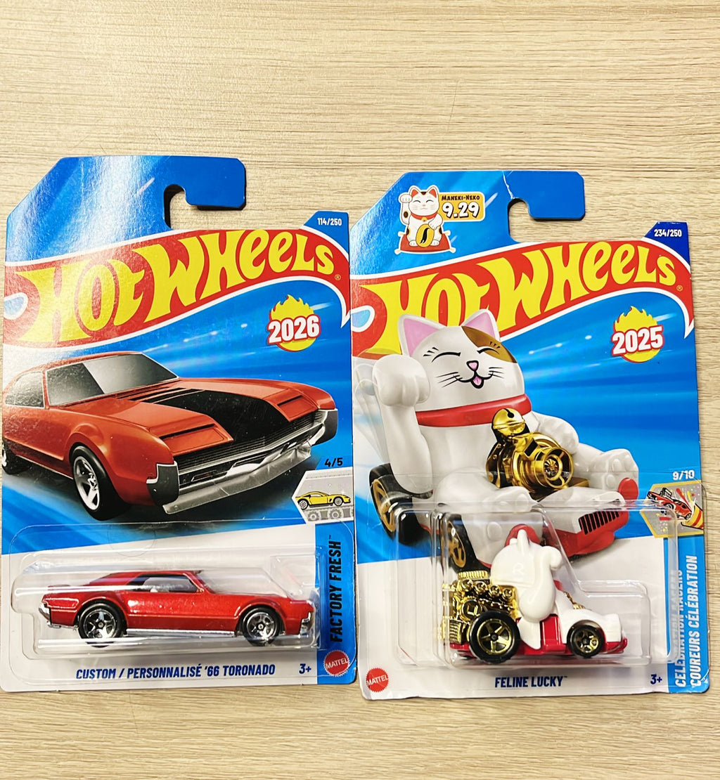 HOTWHEELS BASIC CAR 2026 E CASE NISSAN SKYLINE 2000 GTR + 66 TORNADO + FELINE LUCKY