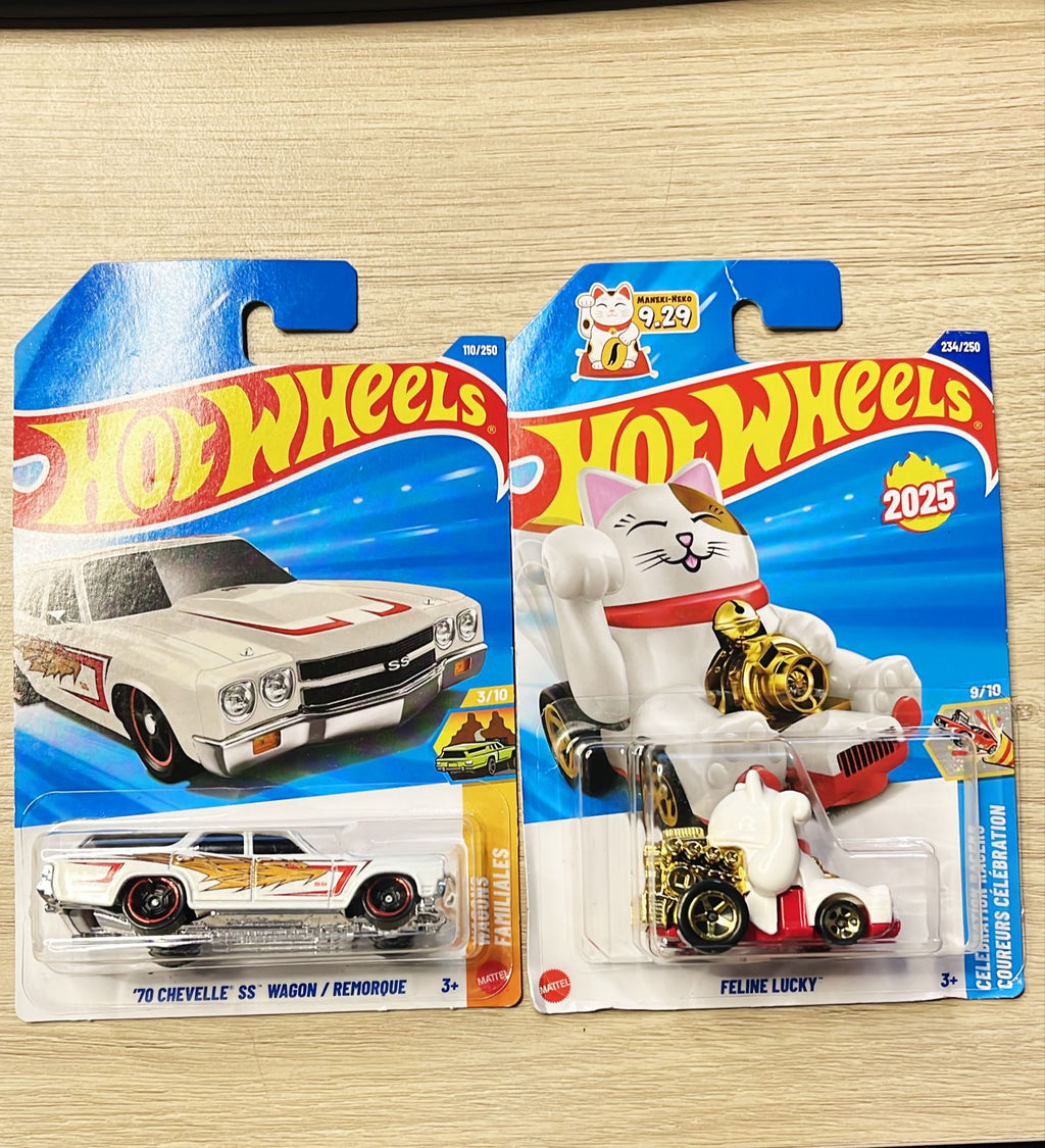 HOTWHEELS BASIC CAR 2026 E CASE NISSAN SKYLINE 2000 GTR + 70 CHEVELLE WAGON + FELINE LUCKY